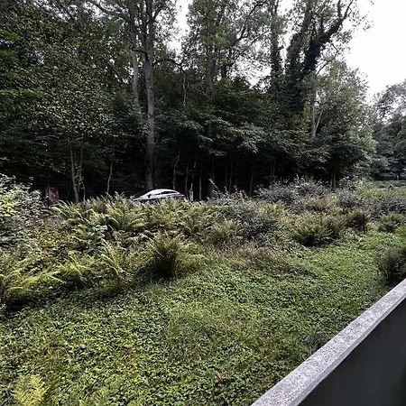 Apartment Doppelzimmer Naturblick Im Herzen Von *